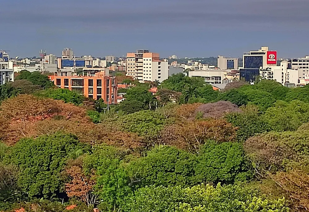 Villa Morra, en Asunción: torres modernas entre árboles