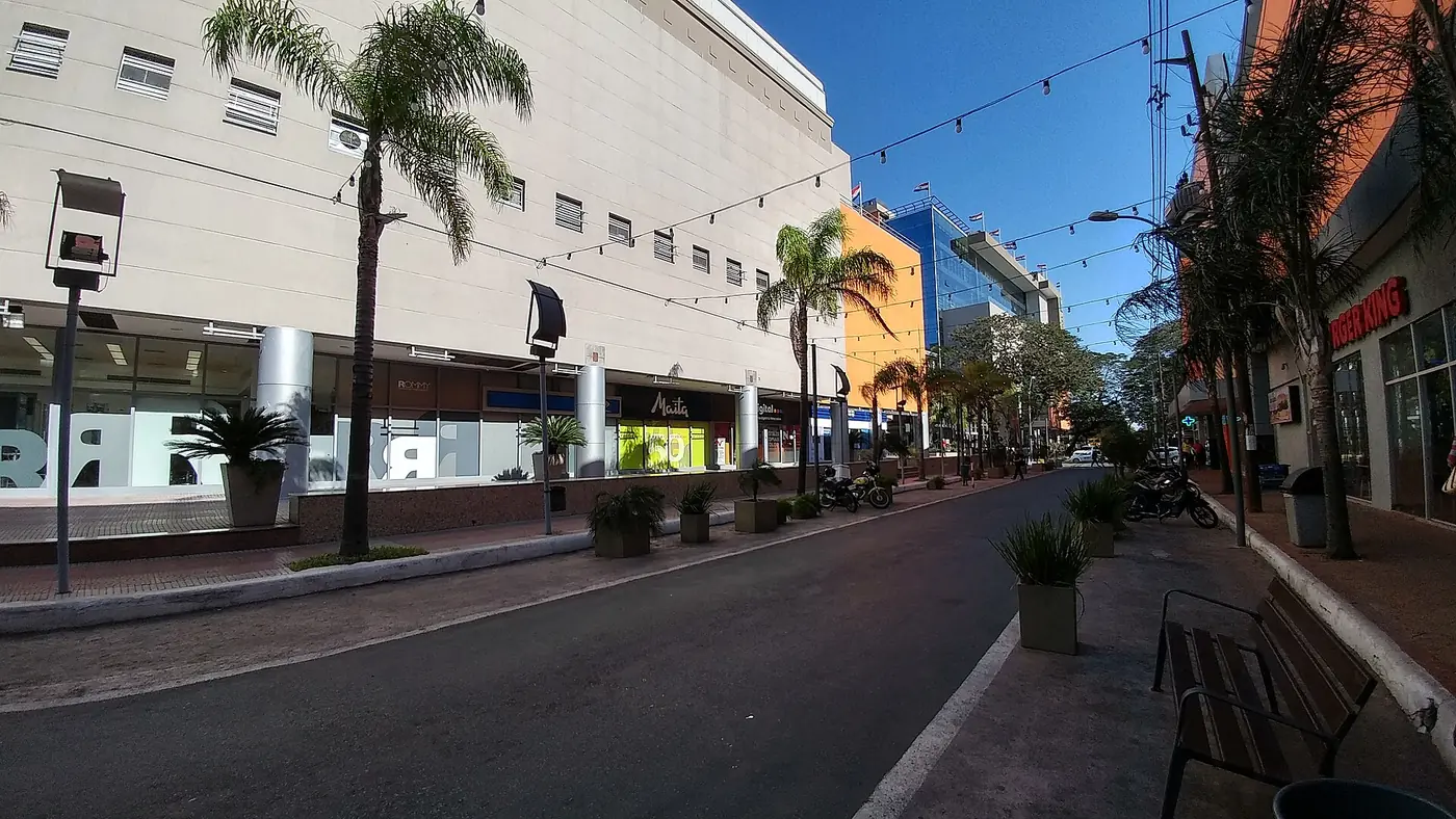 Calle con palmeras y comercios en Villa Morra